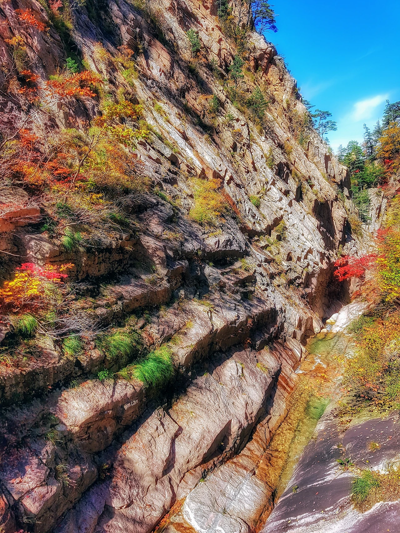 99EA643359E95F150DF850