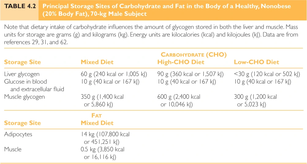 2662544655719372040CD8