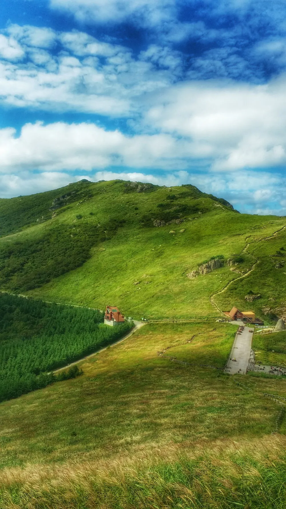 225F923C57D022BA1B6850