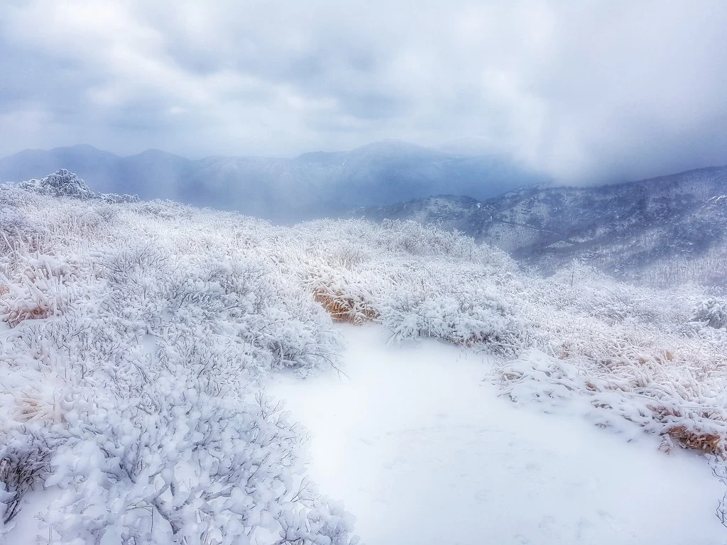 990C4B485AA50B9D254A87