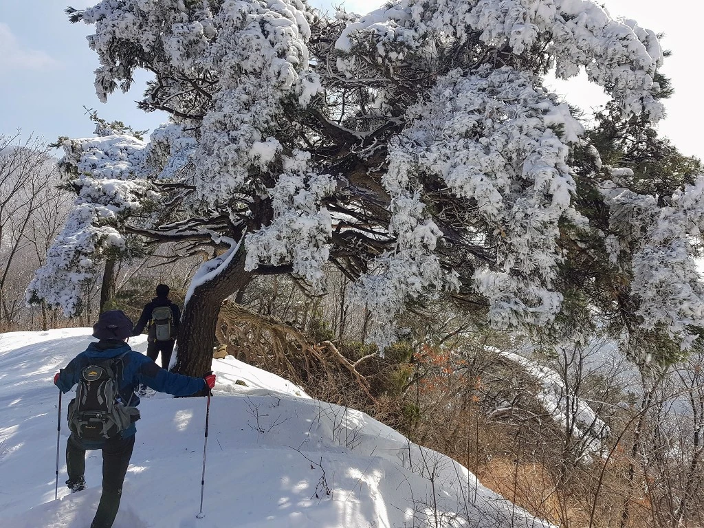 995018355AA5B4D625A570