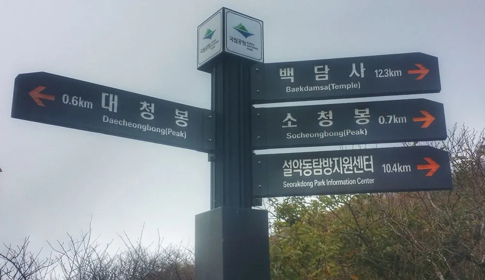 230CAC4057FDA5CD23AE96