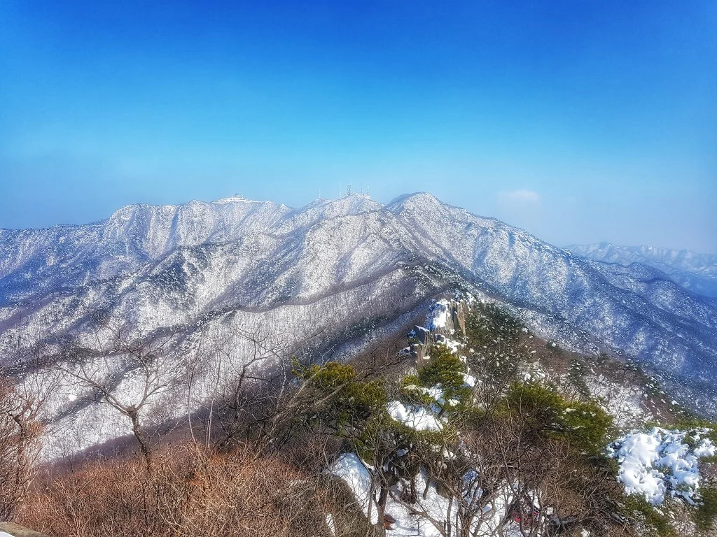 99DE95415AA5B51E242F3A