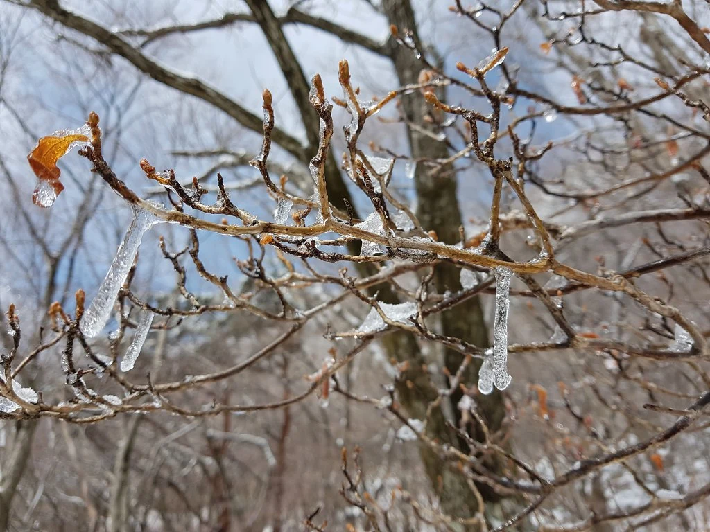 9915414F5AA509E61ED0DB