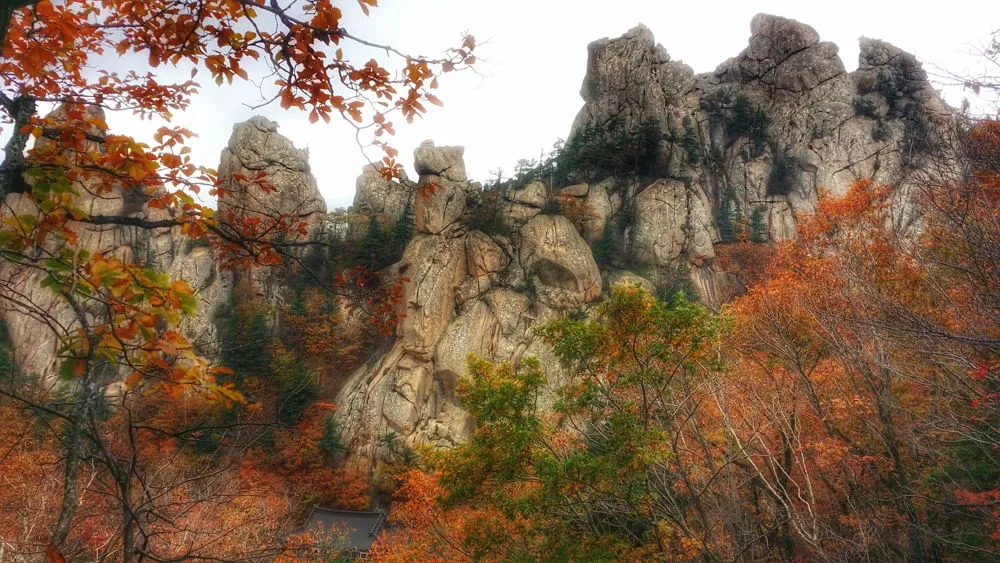 21759C3657FDEC381F3495