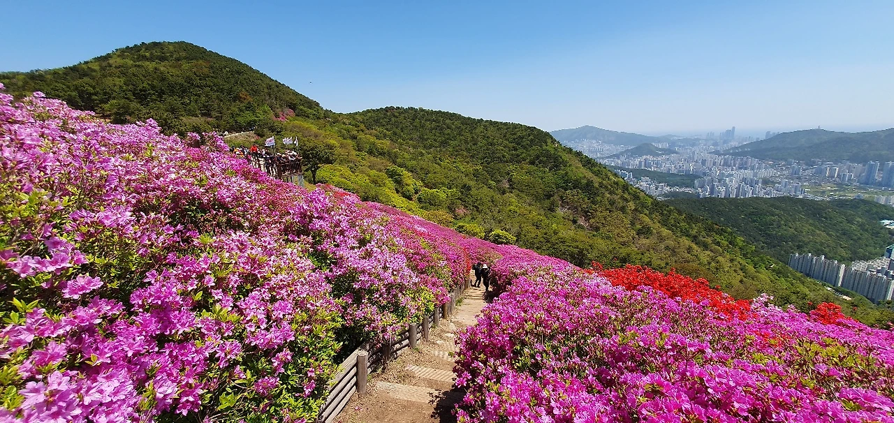 KakaoTalk_Photo_2025-04-26-20-43-37 016.jpeg