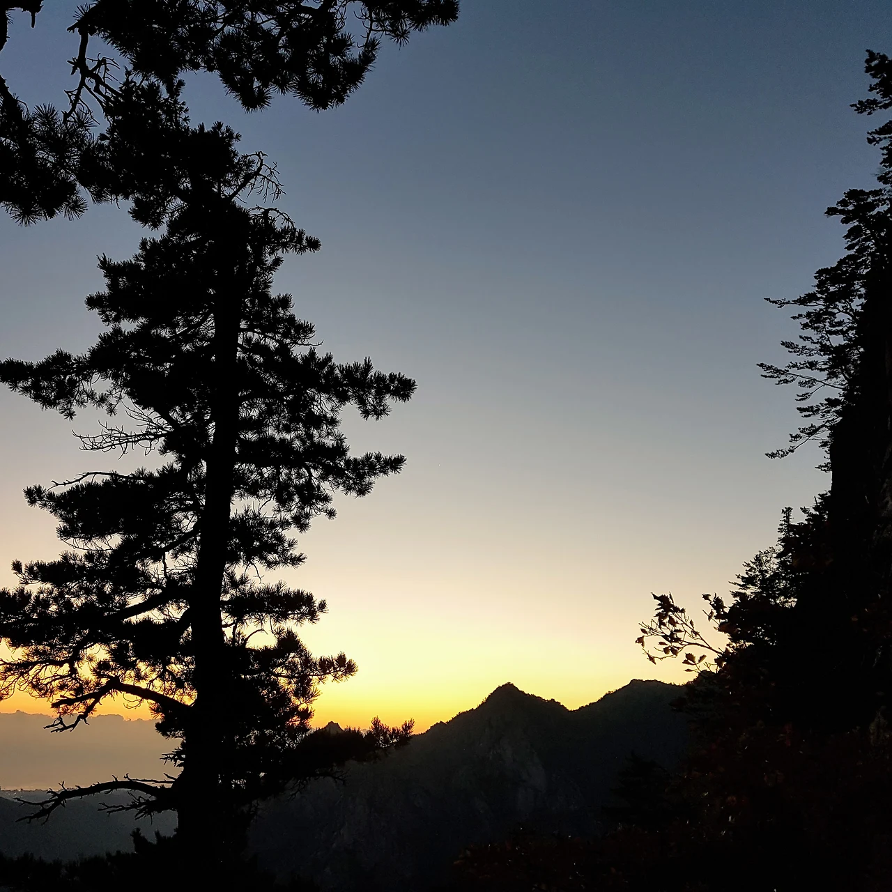 9944433359E899EF1BCB84