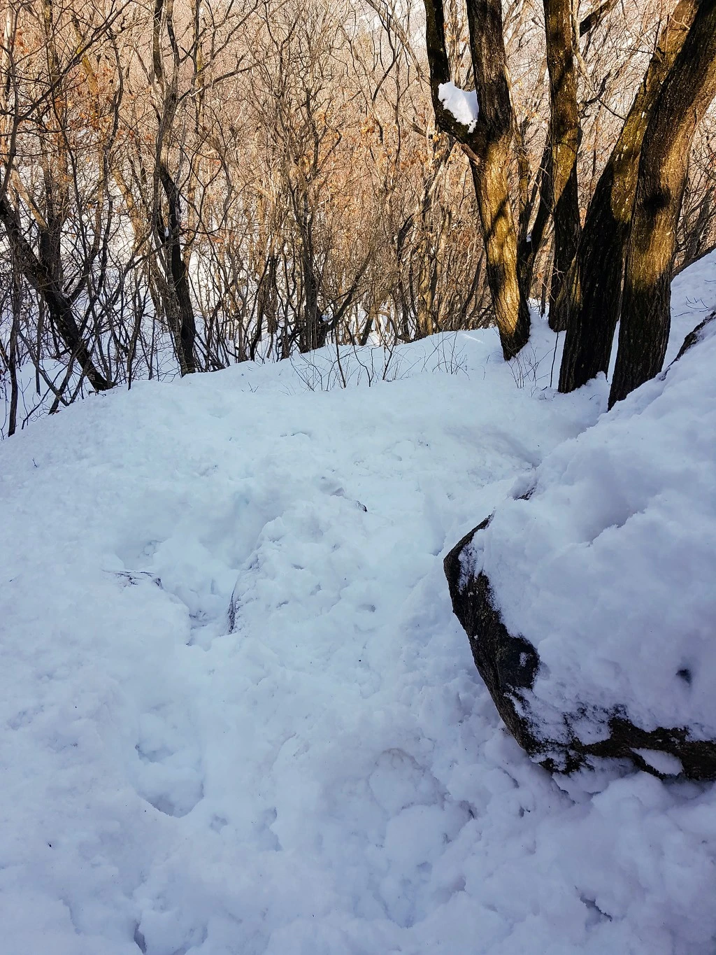 9934BA415AA5B531297ED8