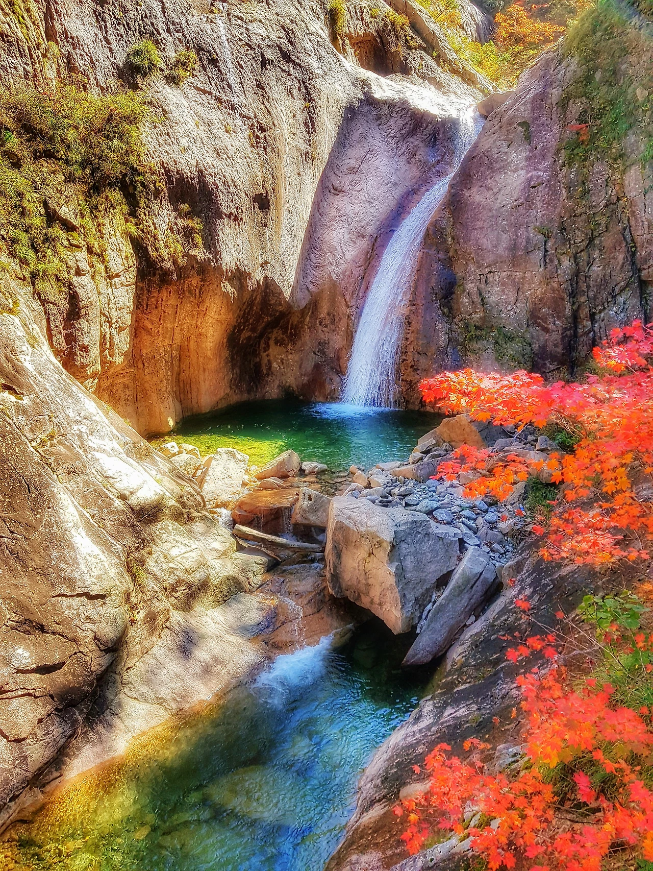 99F9823359E9585E1DC0A0