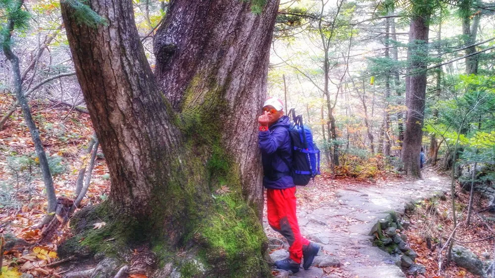 2307103657FDEC5617743E