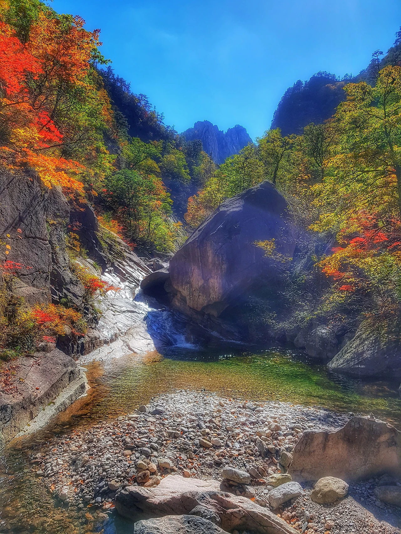 99FC5B3359E961800C5354