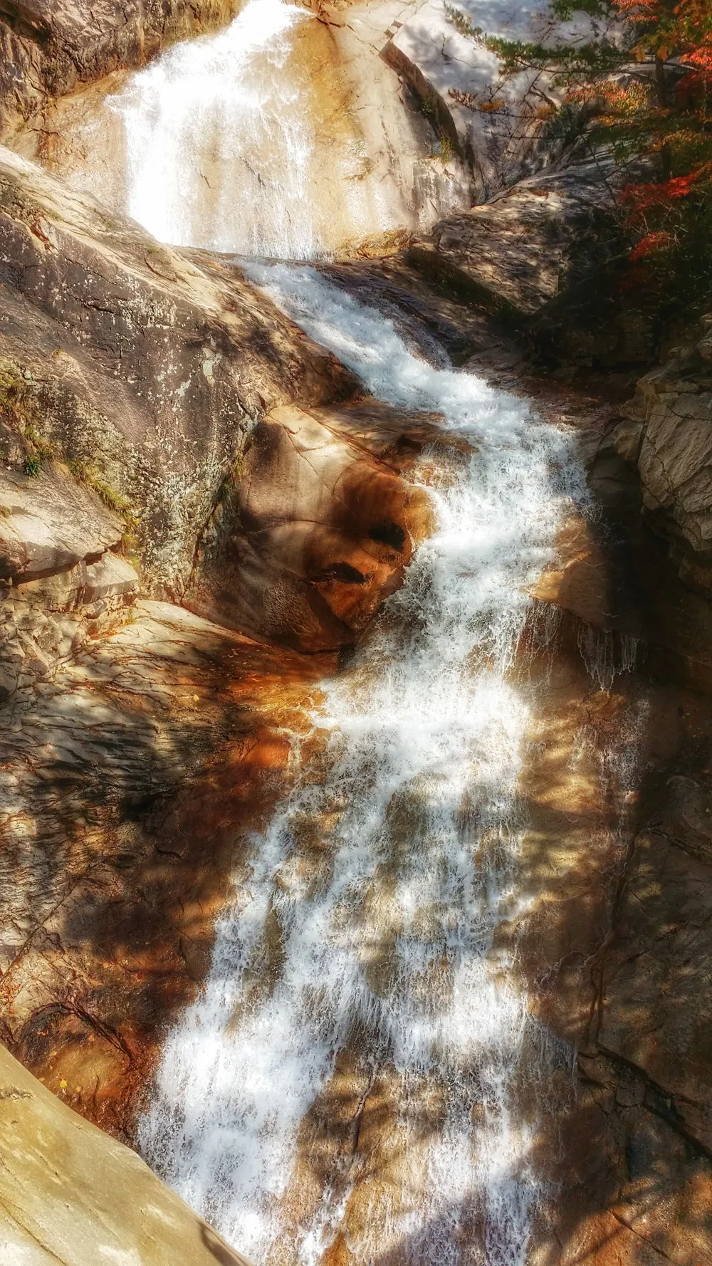 2278EE3657FDEC721FD94A