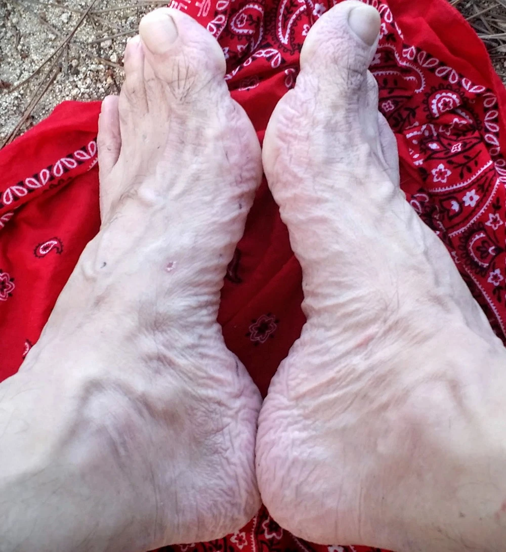 991BCB3359B7AAE72DDD26