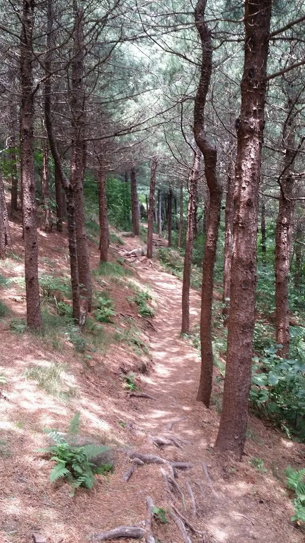 263C483D55C0C88B01A116