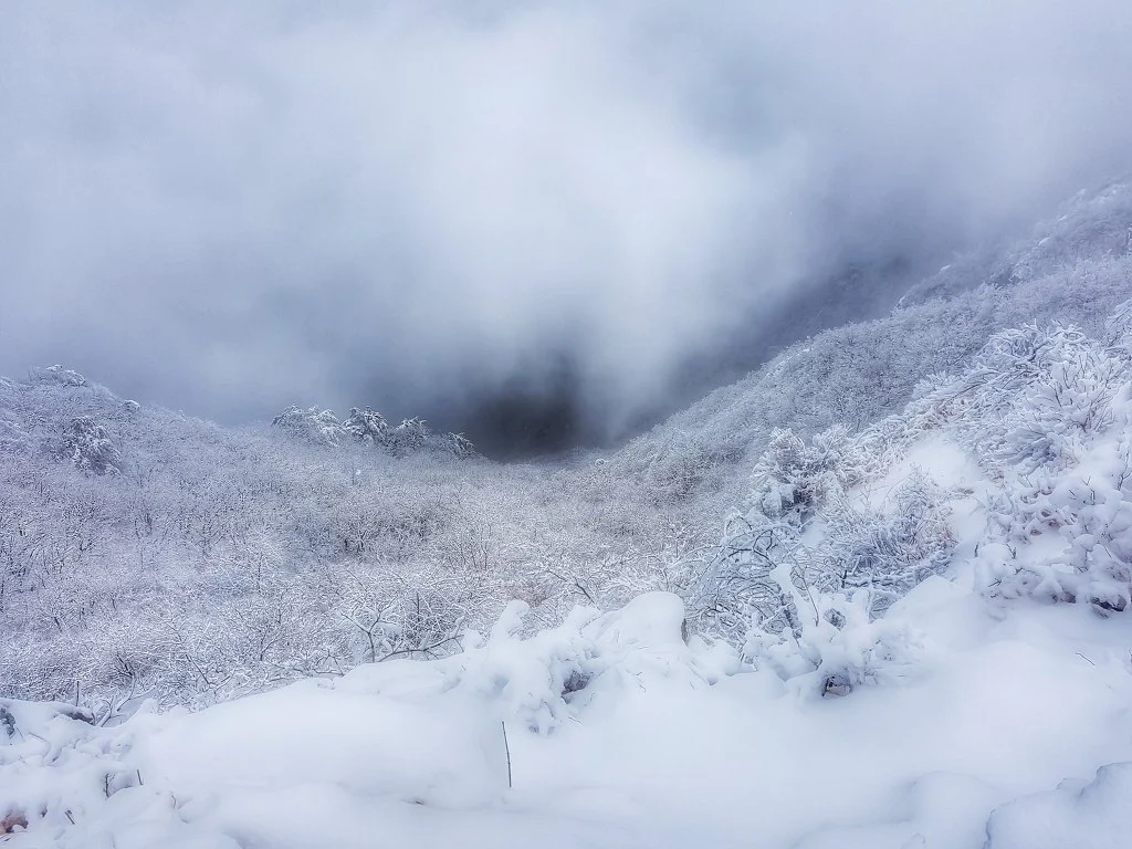 99B030485AA50B983E258C