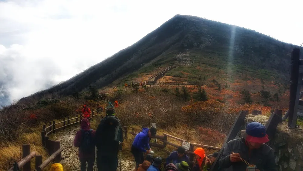 2320D53D57FD7E131E1FA7