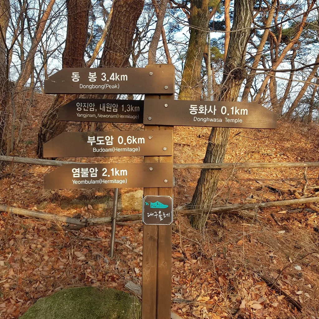 99615F345AA5B5B729ECA3