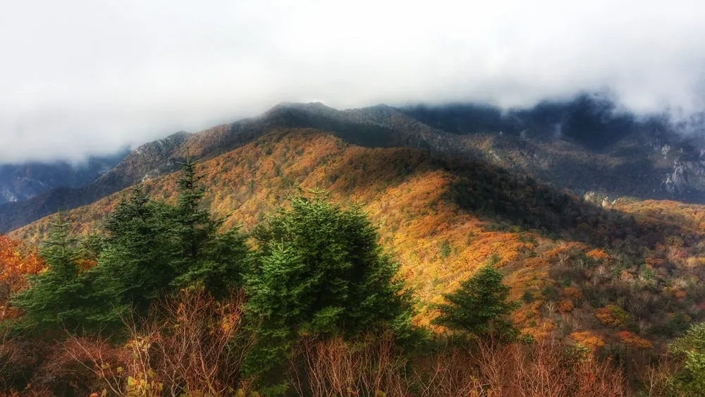 242D424957FD796939C069