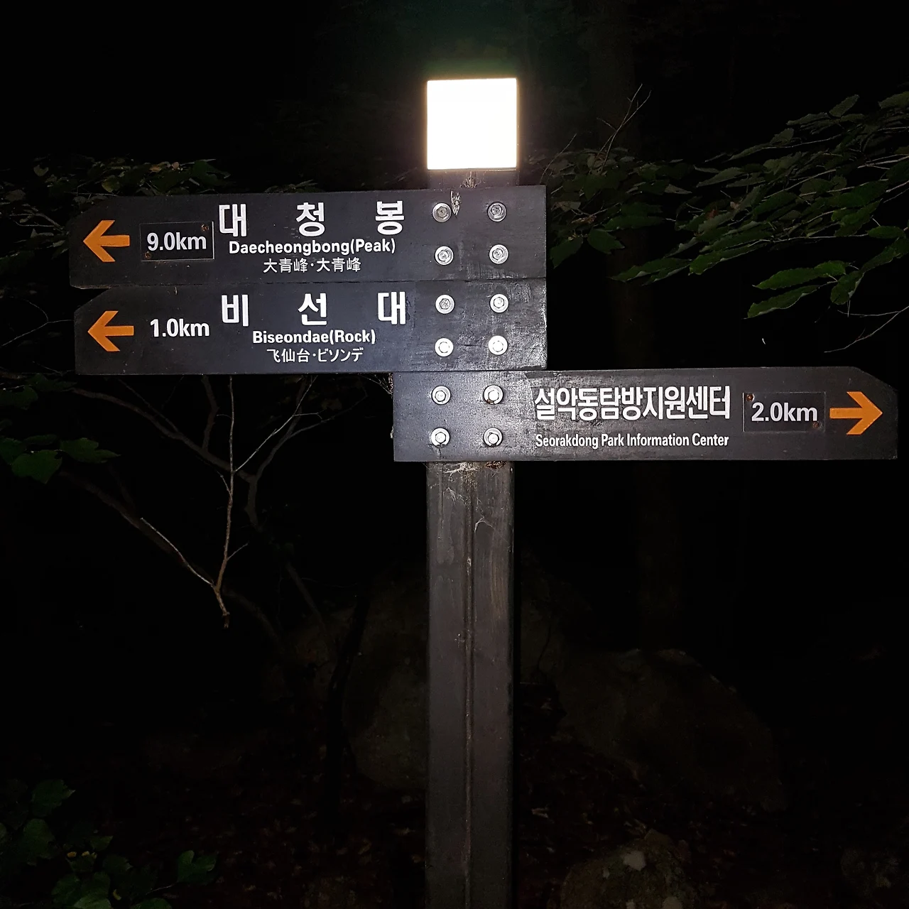 99FBAB3359E7EA7C061ABC