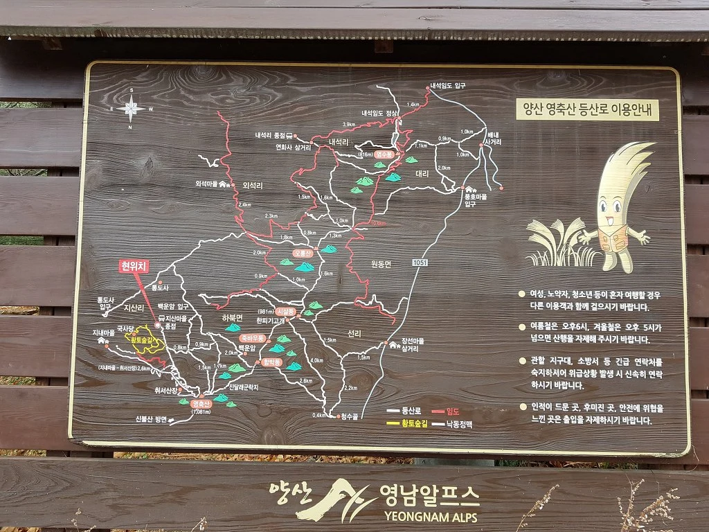 99BED4505AA509B733BC76