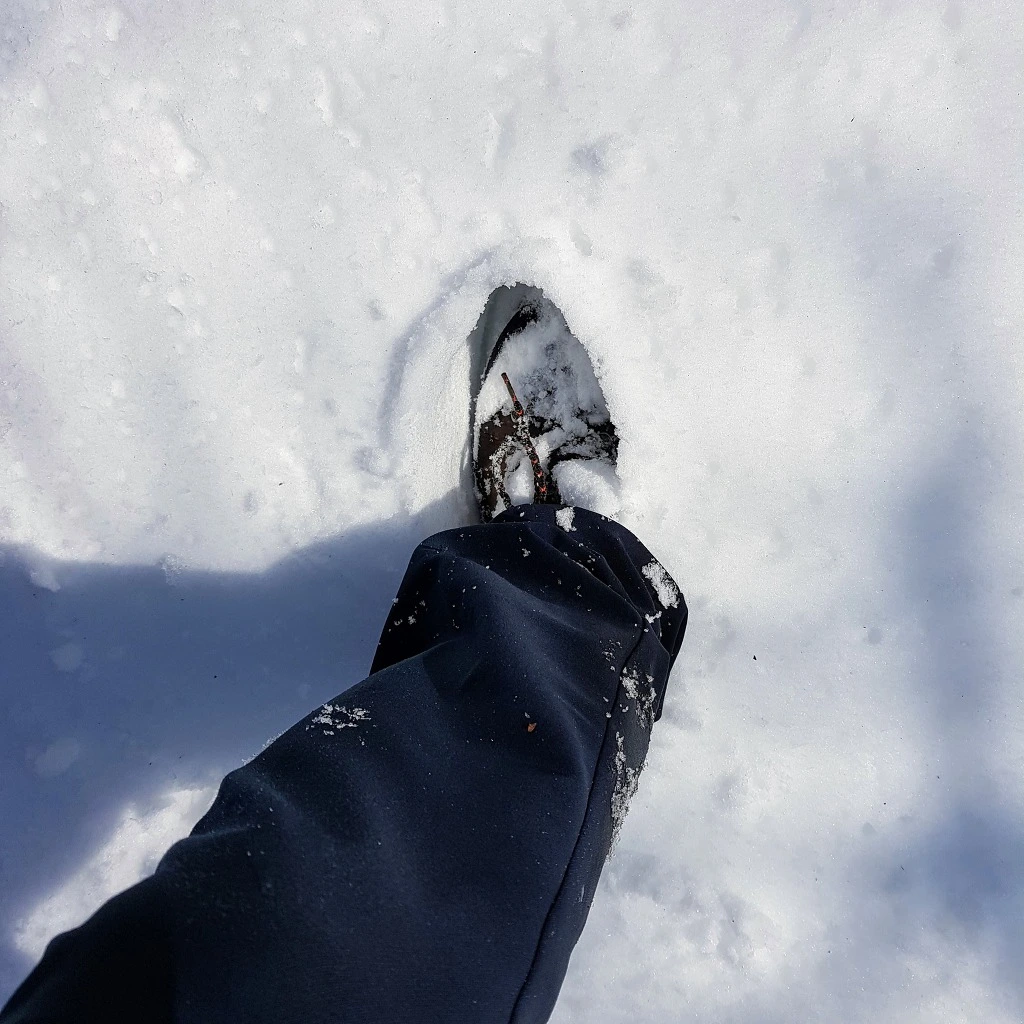 996B5C3B5AA5B41726BB11