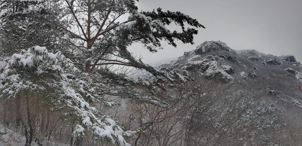 992655465AA50BBD0E316E