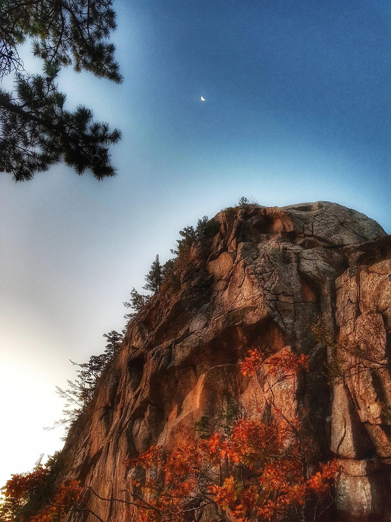 991D823359E89CB00D2F5B