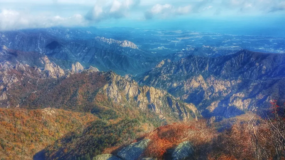 2312134057FDA5D11E584E