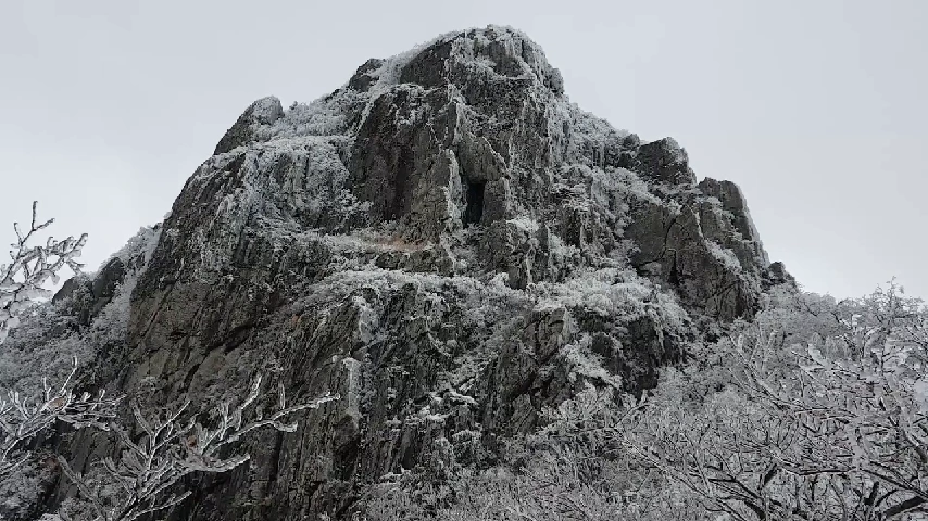 img.jpg?width=640&amp;height=360&amp;face=0_0_640_360