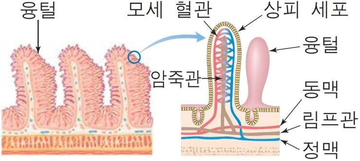 240AEF3A556F9F1B327F99