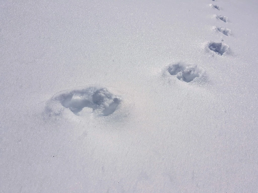 999679415AA5B5132677F2