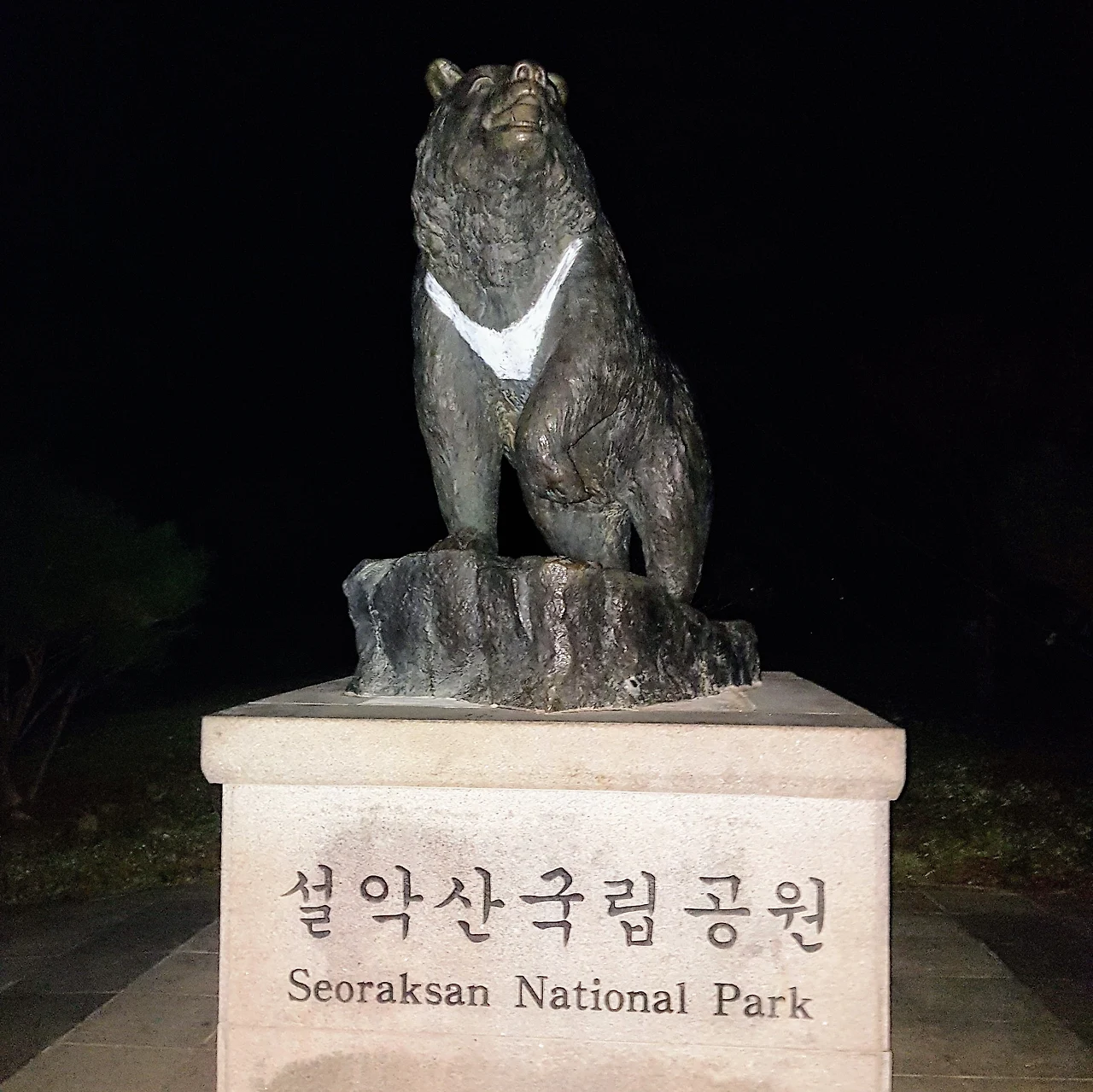 9902263359E7EA820E9657