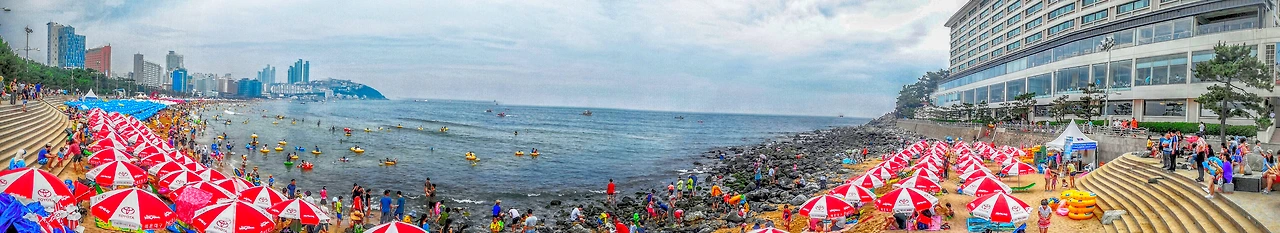 21465542580588D41FC3C8