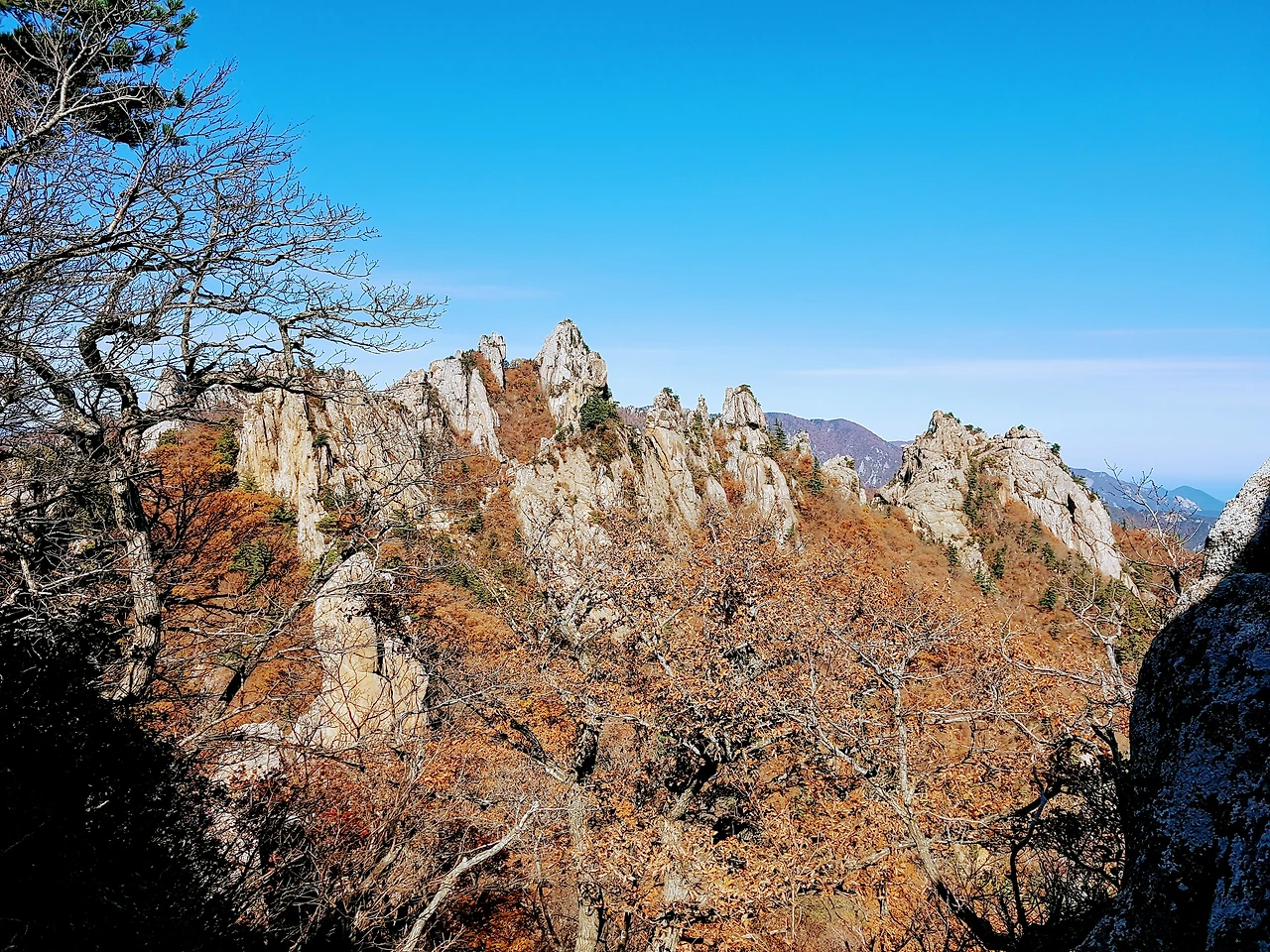 99BA3D3359E94F551063B6