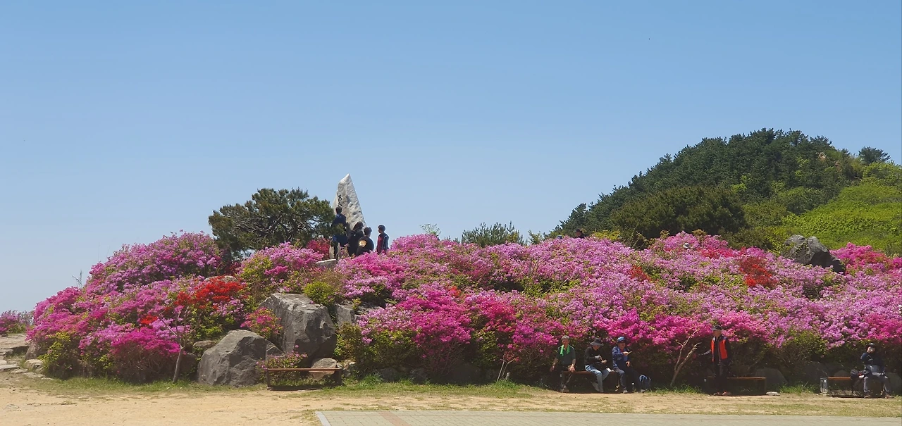 KakaoTalk_Photo_2025-04-26-20-43-34 008.jpeg