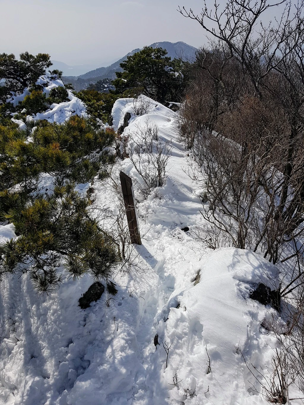 996547415AA5B5291EC88A