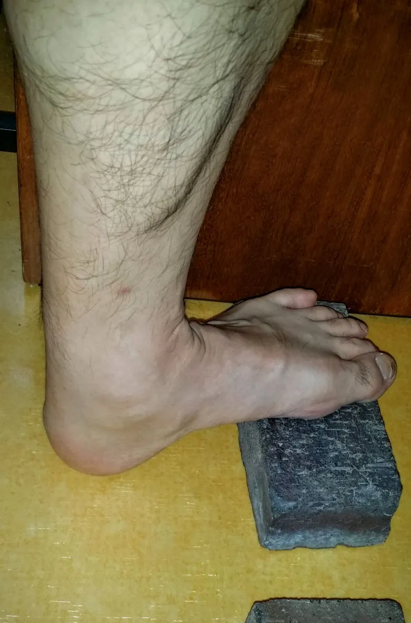 2519EC3B572A9F98281520