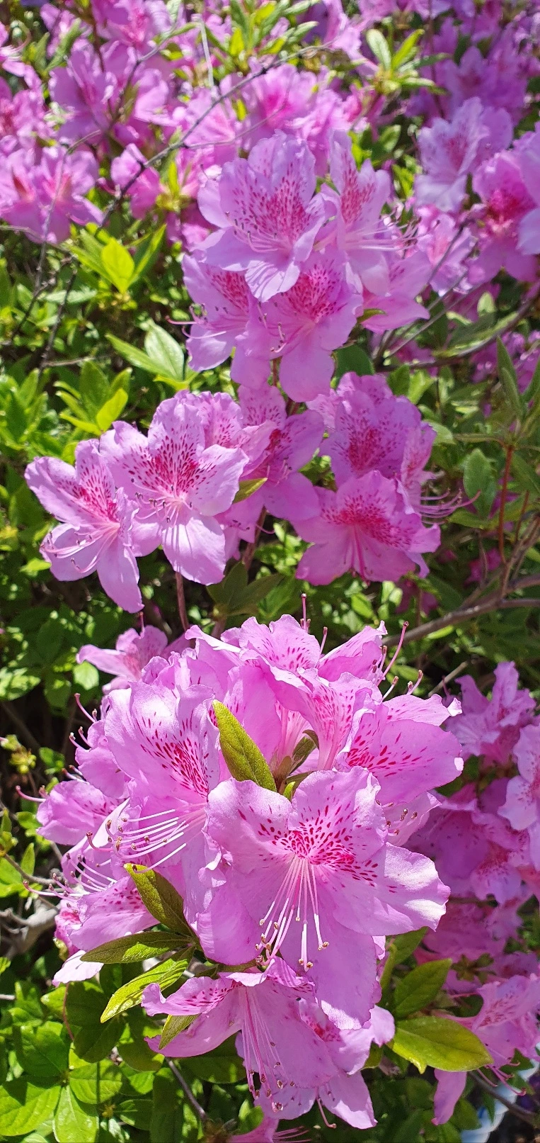 KakaoTalk_Photo_2025-04-26-20-43-37 017.jpeg