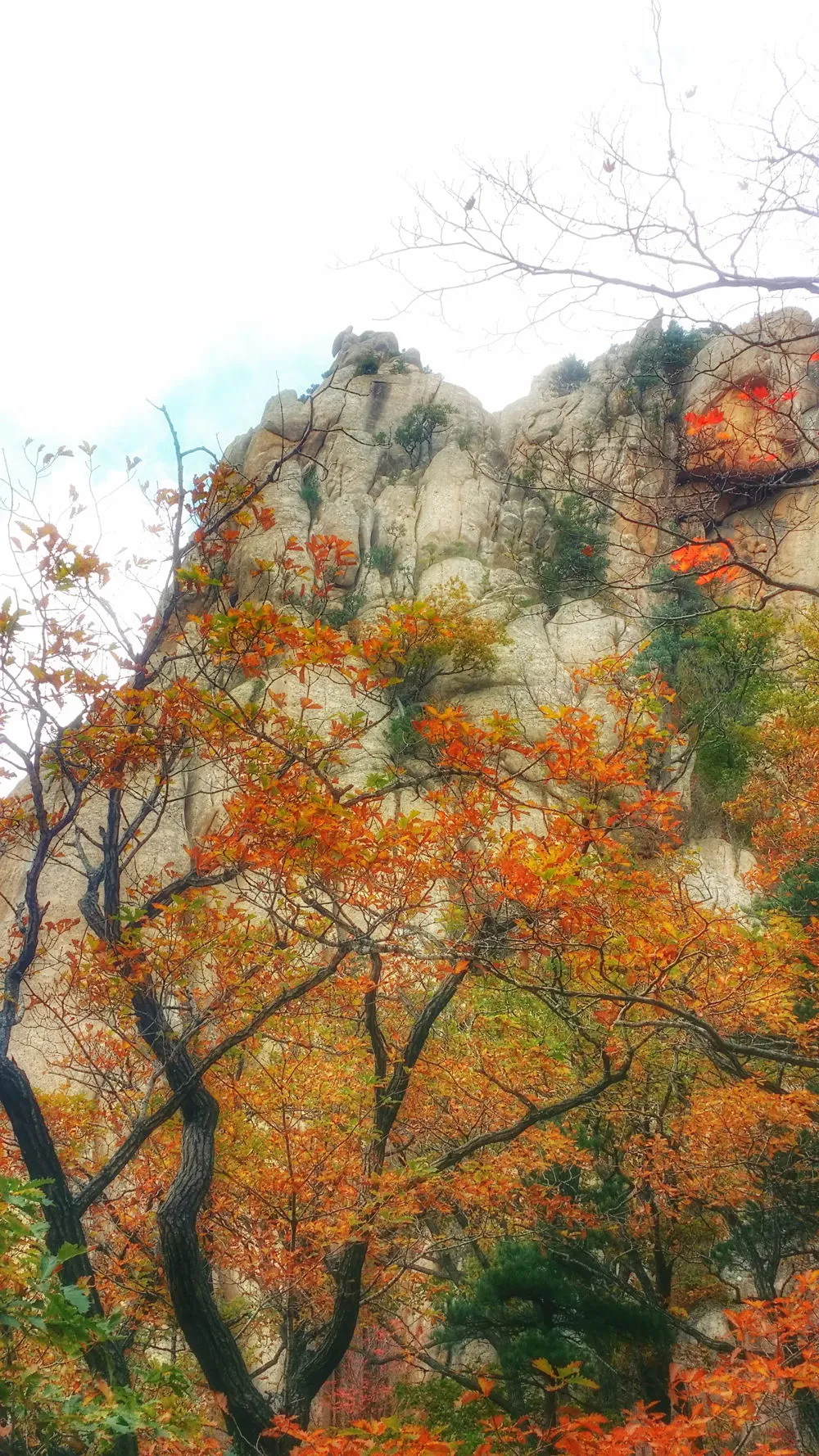 2302D03657FDEC4519BE5F