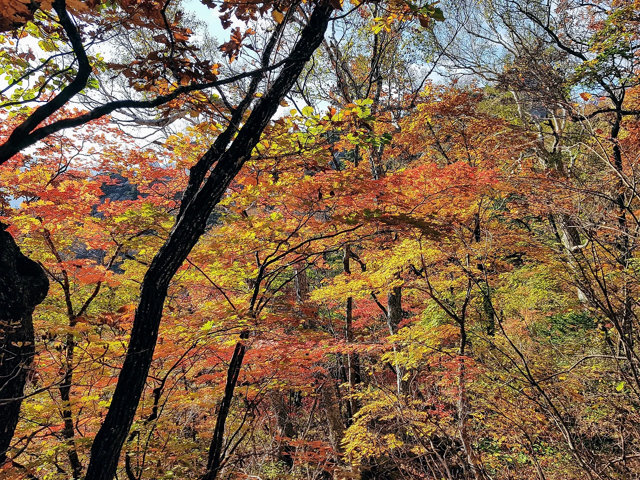 99D15F3359E934B734B2C9