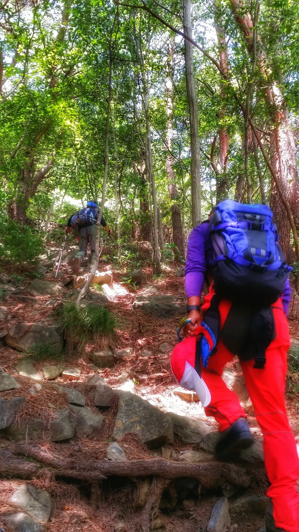 2152673357D019910166EA