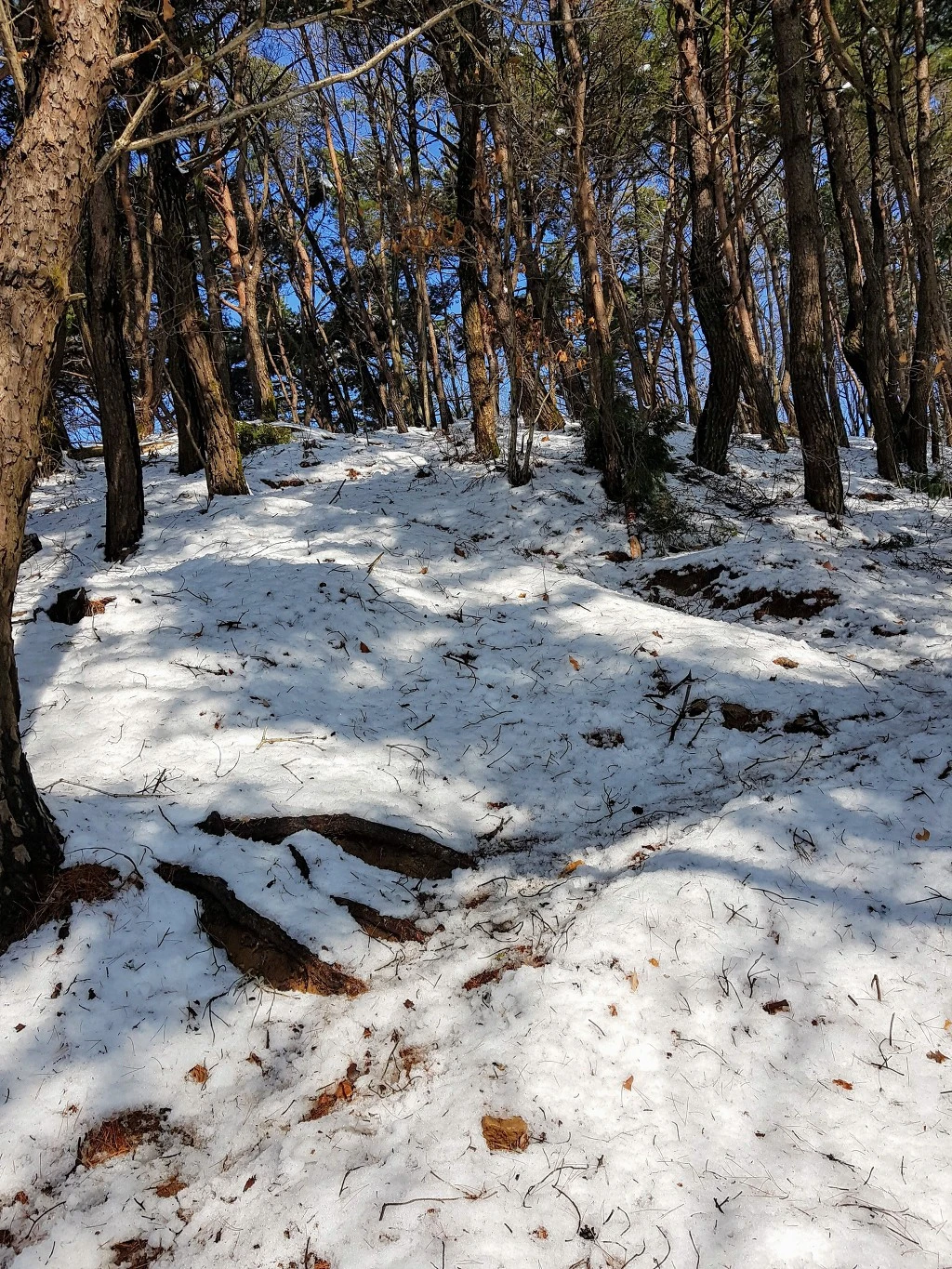 99E2C53B5AA5B3E523C94A