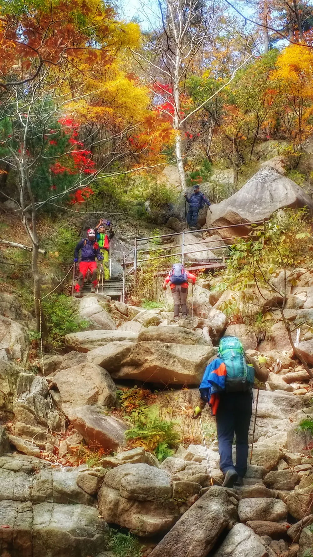 236BF53657FDEC4D269CB2