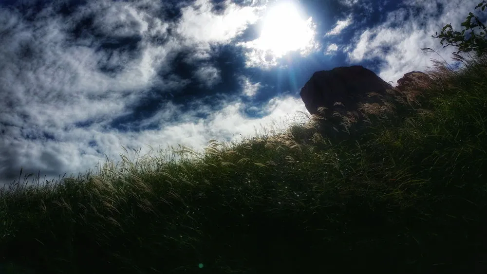 21781E3C57D022BD02F7A3