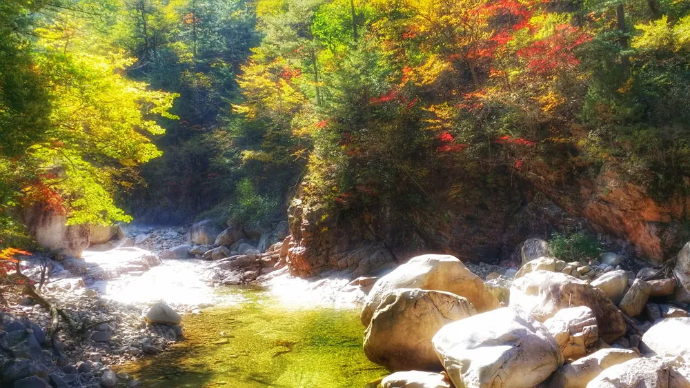 235F533657FDEC7A309BC1