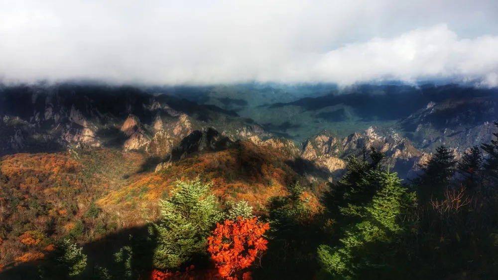 23763E4957FD79670406BD