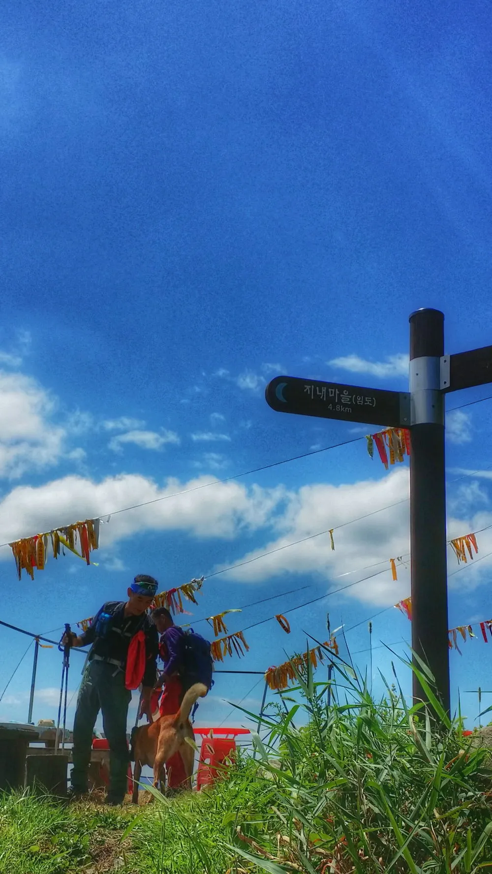 222F843357D019941A74D4