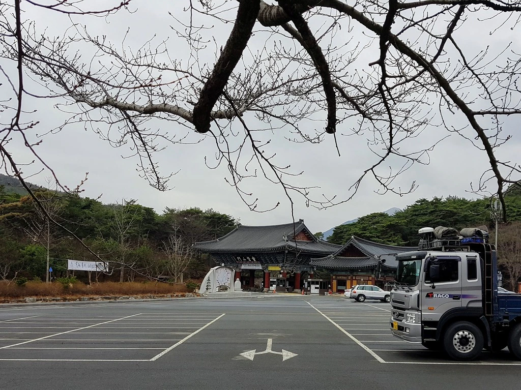 992974505AA509A4162BE7