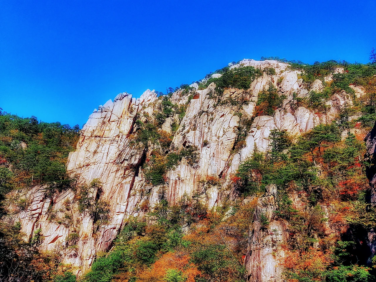 9940723359E969E9398A76