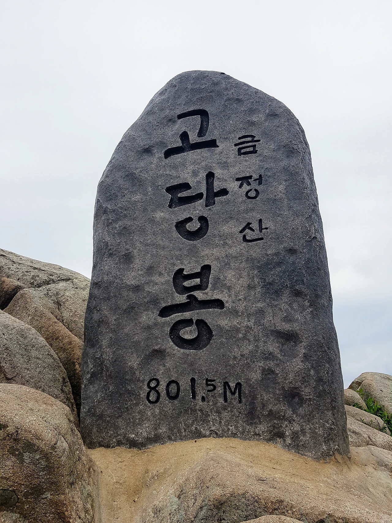 99B34D395B95E8283EC3E5